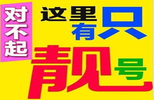 株洲手机靓号在哪里买，株洲市手机号码靓号