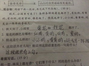 感叹号算一句话吗?