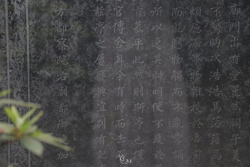 沧浪的拼音