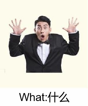 what引导的主语从句例句，what引导的主语从句充当成分吗