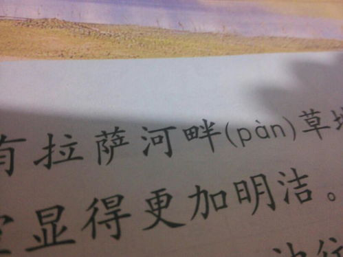 脑畔的意思和读音，脑畔这个字怎么读
