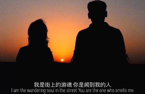 清茶无别事,我在等风也等你。