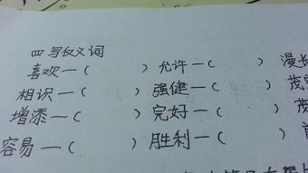 胜利反义词是什么
