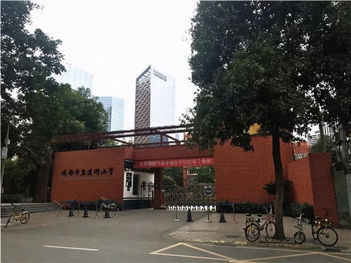 成都盐道街小学有几个校区，成都盐道街小学是公立还是私立