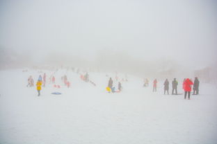 窗含西岭千秋雪西岭指的是什么，窗含西岭千秋雪的秋什么意思