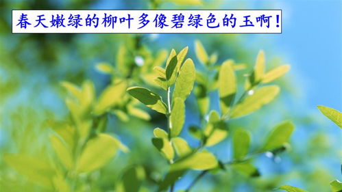 汊的组词