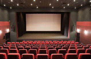 film是什么意思，palacecinema是什么意思