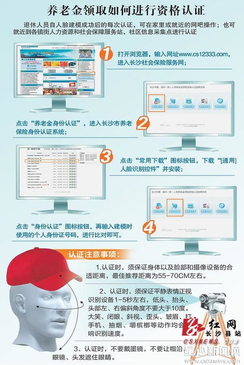起用和启用的区别