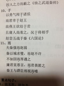 示的意思杨氏之子，致于的意思是什么意思