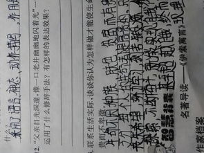 高贵的生命不卑微阅读题，高贵的生命不卑微原文