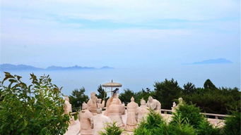 琅琊台旅行社电话，琅琊台52度海派浓香型