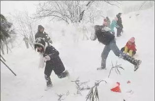 打雪仗翻译成英语怎么说?