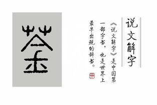 一个草字头和金怎么读