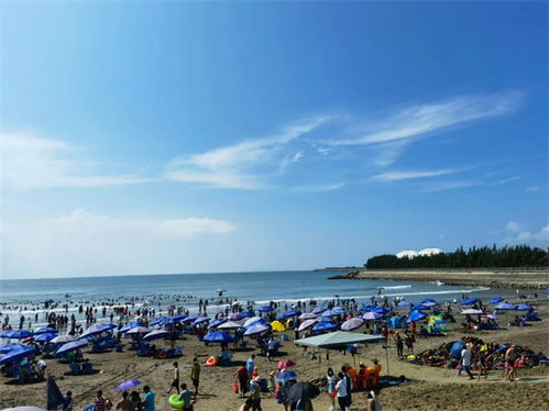 黑沙湾海浴场游玩攻略，黑沙湾附近免费沙滩