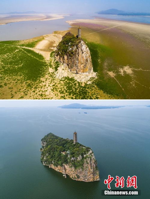 万顷的解释