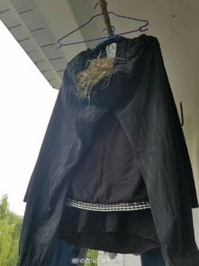 哪里可以回收衣服?