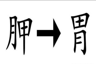 显微镜 打一成语是什么