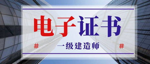 启用和起用的区别和联系，启用和使用的区别