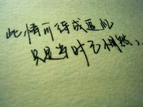 当时已惘然前一句，往事可待成追忆, 只是当时已惘然