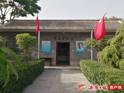 傅凌云林，傅凌云舒漫琦