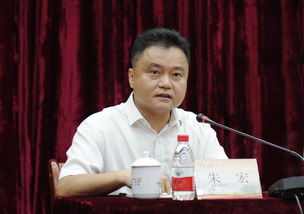 朱宏伟，朱宏宇