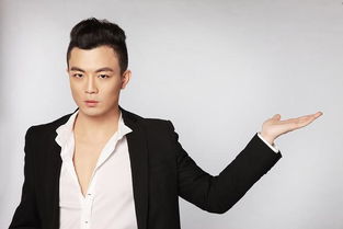 洪一平 子月讨部电视剧