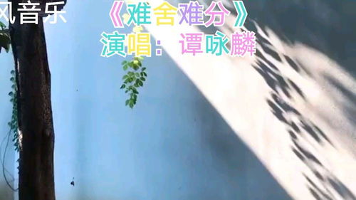 难分难舍的意思是什么意思，难分难舍的诗句