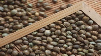 火麻仁怎么吃才能润肠通便?，火麻仁怎么吃降血压