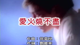 爱火烧不尽刘德华国语，爱火烧不尽刘德华mp3下载