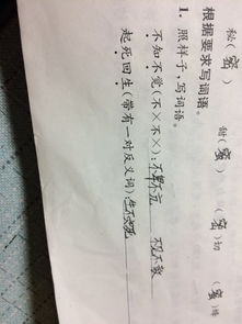 高明的反义词是什么呢英语，高明的反义词 标准答案