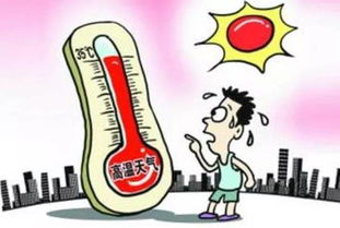 什么是高温天气