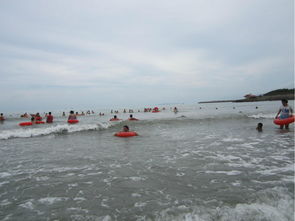 黑沙湾旅游景点介绍 黑沙湾旅游景点介绍视频