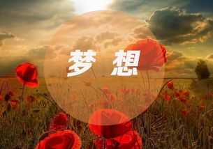 关于理想的优美句子
