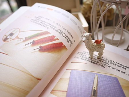 我的书优秀作文