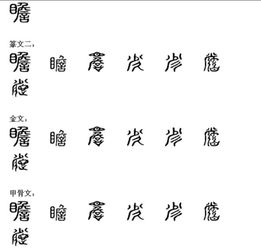 辨字组词100组，弃字组词100