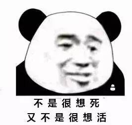 我真的不知道活着是为了什么，我真的不知道该怎么活下去了