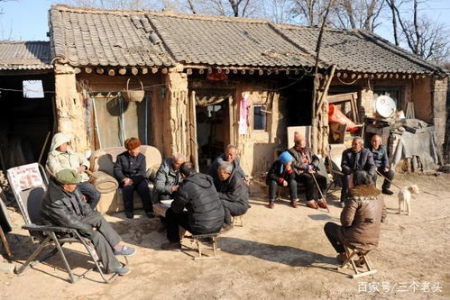 撵不上的撵是什么意思，做梦被老虎撵是什么意思