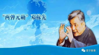 《邓稼先》表达了作者怎样的思想感情?