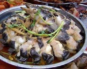 白鳝的读音白鳝的读音是什么