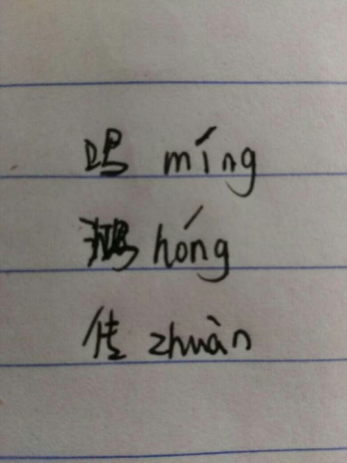 传拼音怎么读，忽拼音