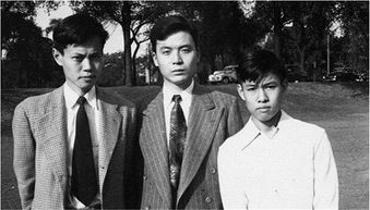 杨振宁的文章《邓稼先》，杨振宁邓稼先的故事概括100