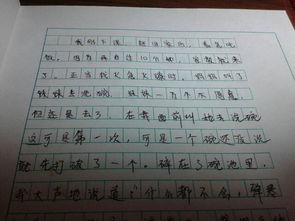 我心目中的老师作文500字