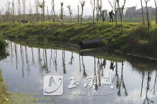 星云湖在哪里，星云湖和抚仙湖