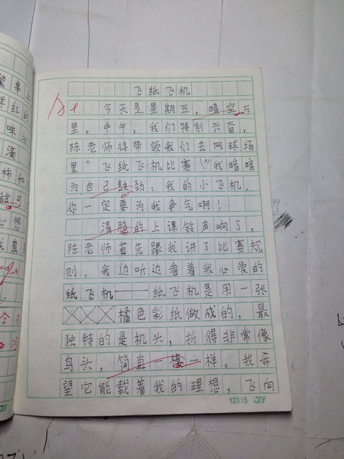 一件难忘的事作文