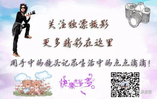 枯涸的意思枯涸的意思是什么