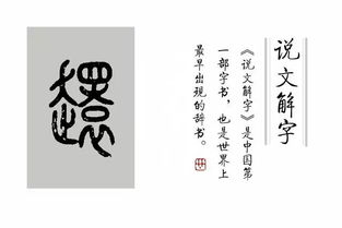 睘鹮怎么读，睘羽为翾