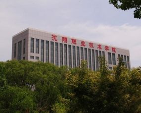 沈阳职业技术学院学费是多少