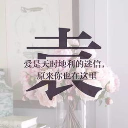 我姓周,什么周怎么说?