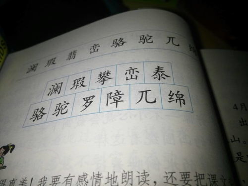 拍组词有哪些