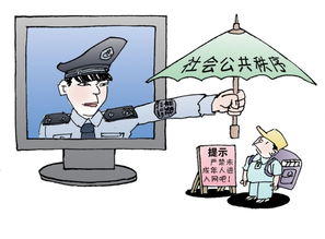 秩序的意思